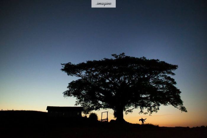 ensaio-pre-casamento-campo-sitio